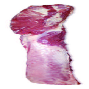 lomo fresco con cabeza 50% duroc