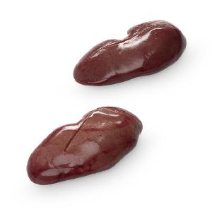 riñones de cerdo 50% duroc