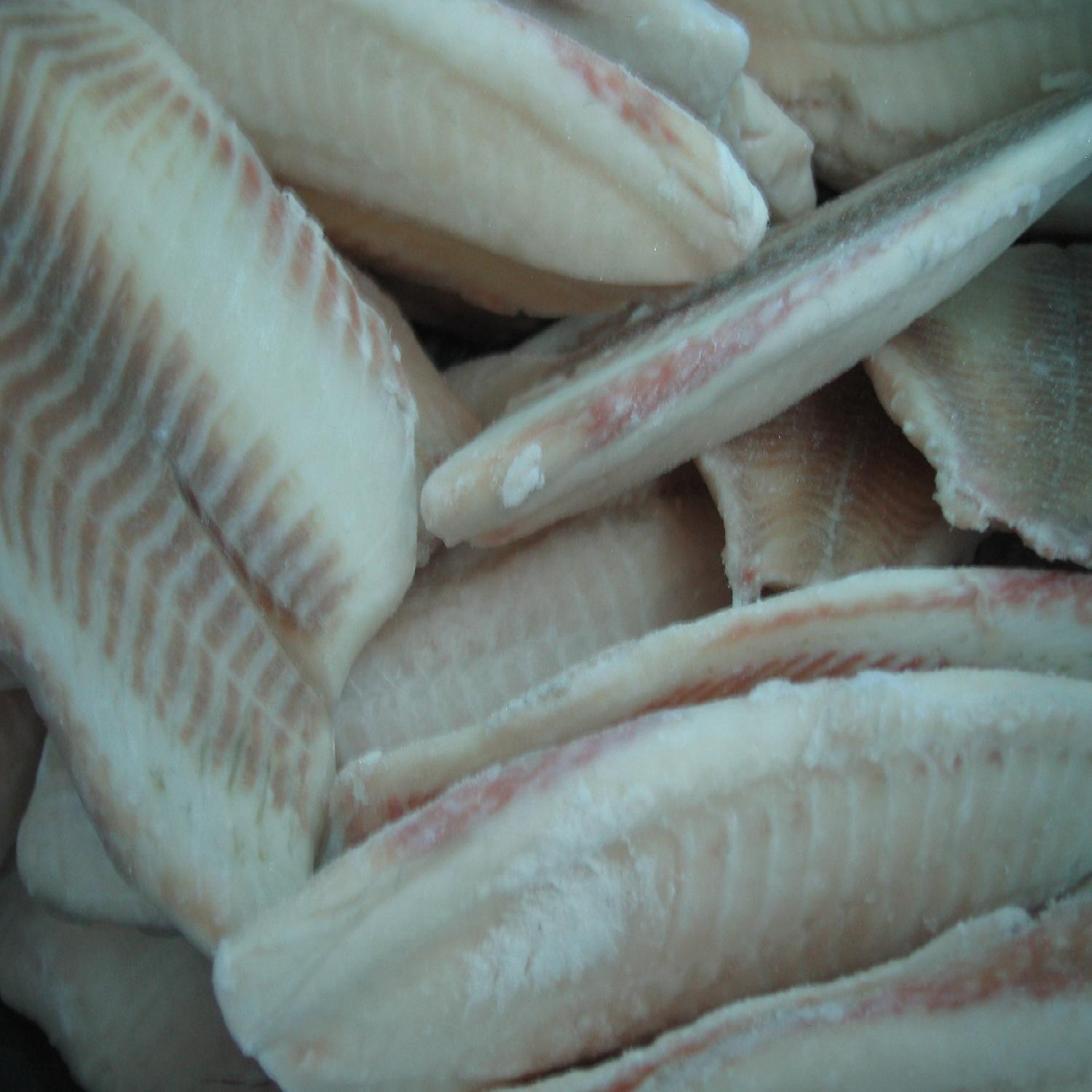 filete de tilapia s/p bolsa 