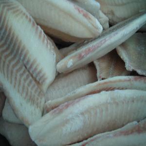 filete de tilapia s/p bolsa 
